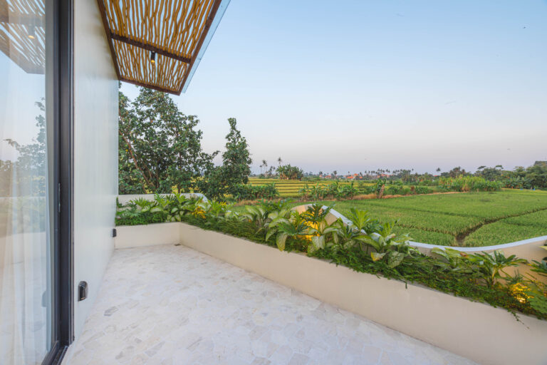 Terrace (1)