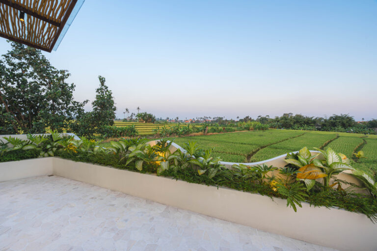 Terrace (2)