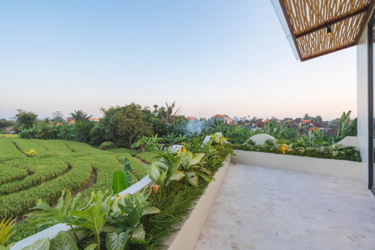Terrace (4)